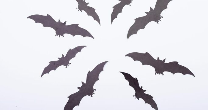 Animation of bats on white background