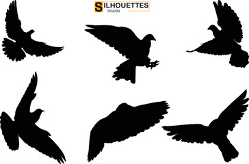 
Set of silhouettes of flying birds pigeon silhouettes on  transparent background