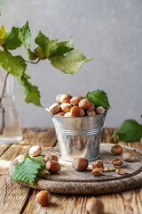 Hazelnuts in small bucket on wooden rustic cutting board, wooden table, hazelnut tree branch