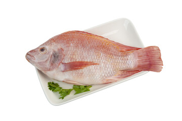 Red Tilapia Fish (Tubtim) in white plate isolated on white background 