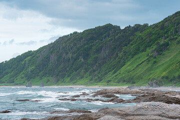 coastal landscape, rocky green coast of Kunashir island, sandy beach with algae on the littoral at low tide in the foreground