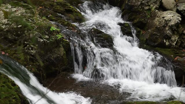 Cascades in the Middle prong of the Little Pigeon River in Great Smoky Mountains, TN, USA (4K/24p, ProRes 422 HQ, 10-bit)