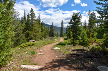 trail in the forest along Snake River in Keystone, Colorado 