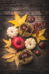 Autumn moodly background  with thanksgiving gifts: pomegranate, chestnuts, mini pumpkins and autumn leaves. Rustic, rural vintage wooden background, natural autumn mood