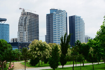 Obraz premium City landscape with modern buildings and exotic trees