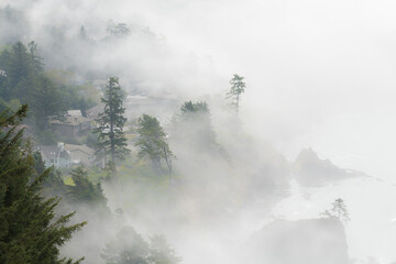 Fog roll in from the ocean and envelops a costal community with fir trees rising into the mist