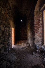 old abandoned building, nature grows back brick