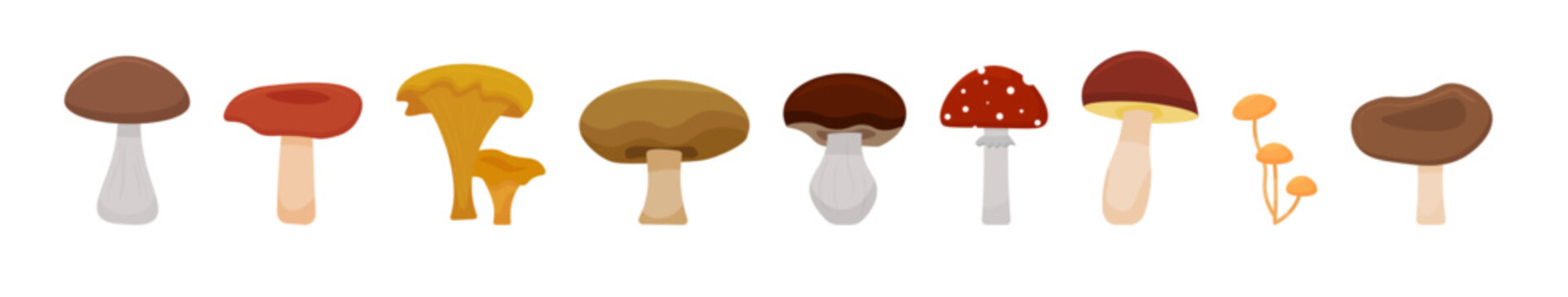 Vector cartoon mushrooms. Poisonous and edible mushrooms. Set of wild mushrooms. Vector illustration.