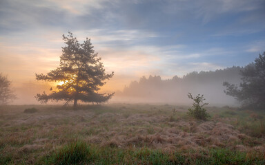 misty morning sunrise