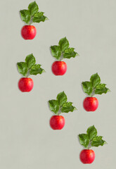 Top view of red apples on the gray background. Flat lay. Pattern.