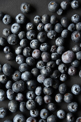 Black blueberries Vaccinium myrtillus on a black background.