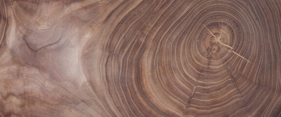 annual rings on a cross section of a brown tree