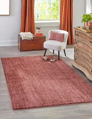 Modern living area shaggy rug