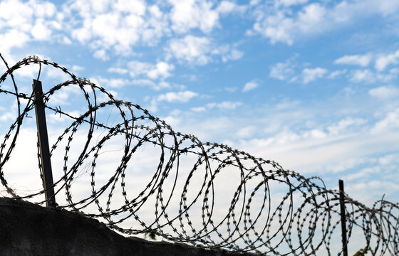 Barbed wire on concrete wall