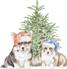 Corgi dogs with christmas tree illustration