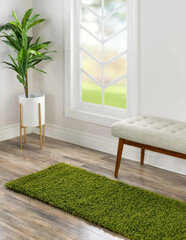 Modern living area shaggy rug