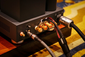 Audio cable connected to the rear of the amplifier, high end speaker cable