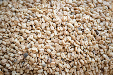 Texture of white coffee beans before peeling and roasting