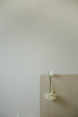 white flower glued to a white wall