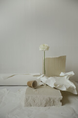 beautiful still life of a flower, concrete and paper
