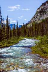 Obraz premium Hiking to Lake Annette in Banff National Park, passing forests and rivers