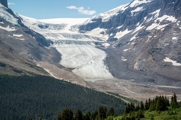 Fototapeta na wymiar Hiking to Wilcox Pass in Jasper National Park with views of the Athabasca Glacier