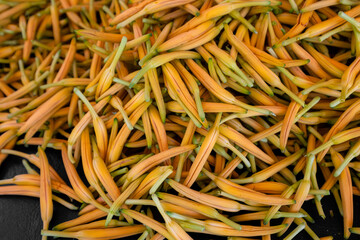 Dry orange day lily flower harvest in the farm