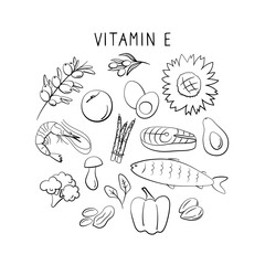 Vitamin E tocopherol. Groups of healthy products containing vitamins. Set of fruits, vegetables, meats, fish and dairy