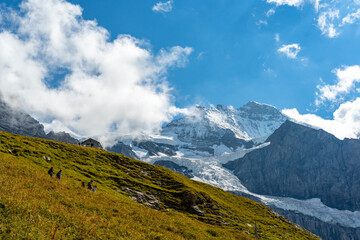 Panorama view of Eiger, Mönch and Jungfrau in summer. Summer holidays in Europe.