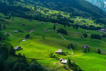 Stunning view of Grindelwald Valley in summer with golden sunshine on green grass. Heavenly beauty village in Switzerland.