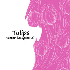 Tulips vector background or card design for invitations and greeting cards, hand drawn sketch style vector illustration.