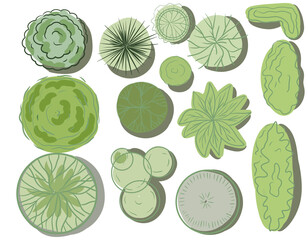 Plan landscape bushes trees top view of the trees graphics color hand drawn separately on a white background with shadows
