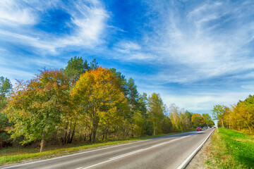 Landscape autumn road with colourful trees, autumn Poland, Europe and amazing blue sky with clouds, sunny day	