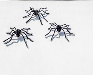 Spooky spider Halloween decorations in Los Angeles, CA.