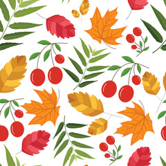 Fall pattern with autumn seasonal leaves