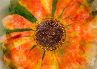 Digital watercolour image of Colorful close up image of Common Sneezeweed Helenium Autumnale flower in English country garden landscape using selective focus
