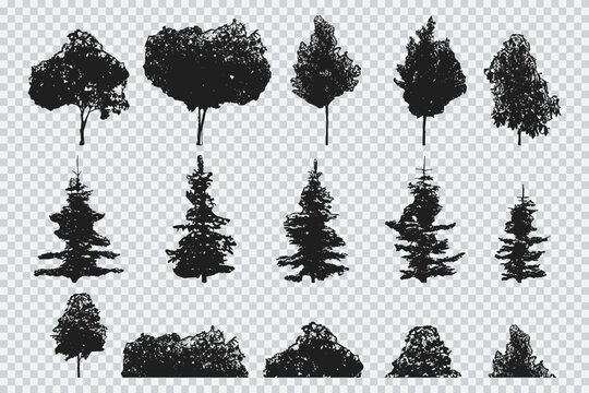 Trees vector black silhouette set isolated on transparent background.