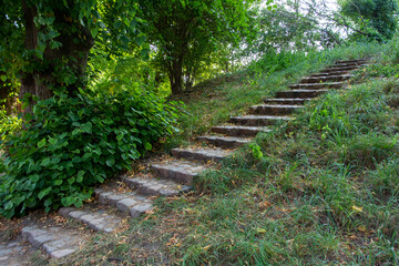 Old stone stairs in green nature