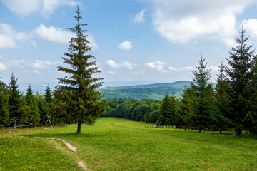 Fototapeta na wymiar Beautiful landscapes of the Carpathian mountains