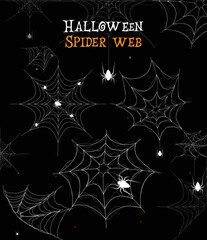 halloween spider web background - stock illustration