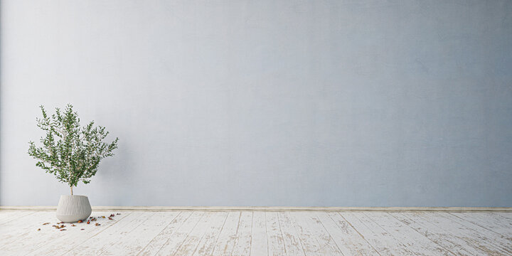 Pastellfarbener Raum mit leerer Wand / Wohnzimmer und Pflanze