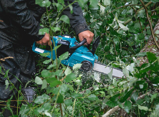 A man in protective overalls saws branches from a fallen tree in a pine forest with a chainsaw. The...