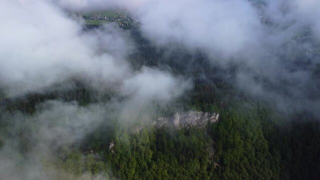 Misty fog over pine tree forest. Aerial footage of spruce forest trees on the mountain