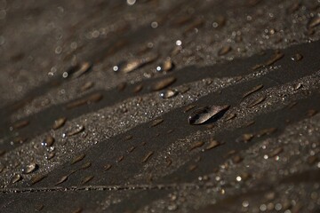 Raindrops slide down a water repellent tarpaulin