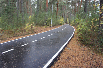 Asphalt path in the park for sports and hiking. A road for pedestrians and cyclists in the pine forest. Comfortable urban environment.