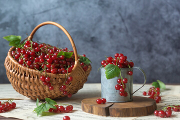 Red currant berries in a galvanized cup and an old can, books lie on the table with notes.