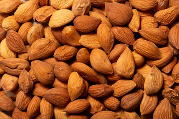Apricot kernels peeled close-up as a background. Apricot grains heap isolated on white background.