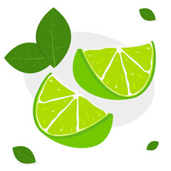 lime slaces with leaves citrus vector