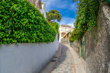 Fototapeta na wymiar Narrow streets on the island of Capri