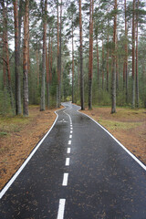 A road for pedestrians and cyclists in the pine forest. Asphalt path in the park for sports and hiking. Comfortable urban environment.